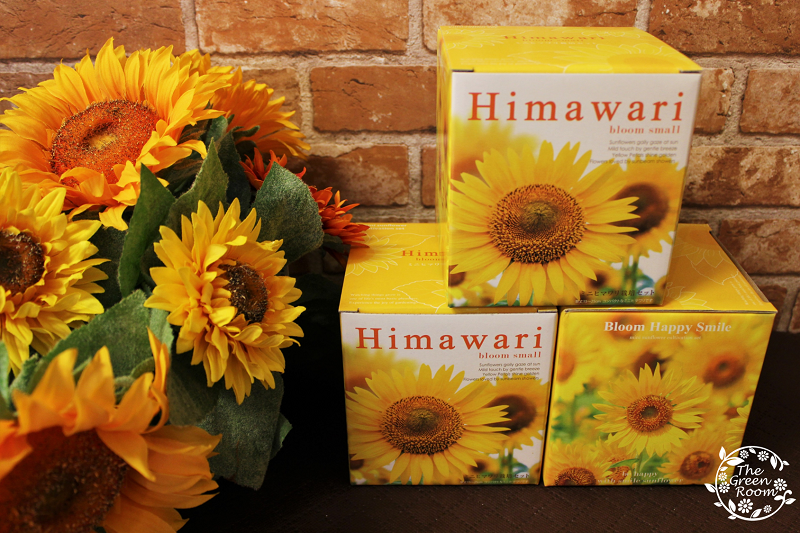 himawari1.png